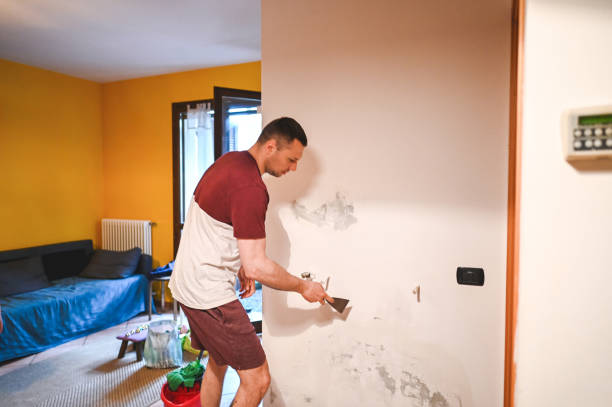 Best Kitchen Mold Remediation in Chester, SC